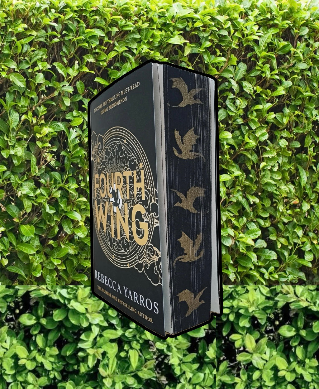 Blind Date With A Book